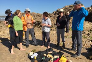 Picknick am felsigen Strand